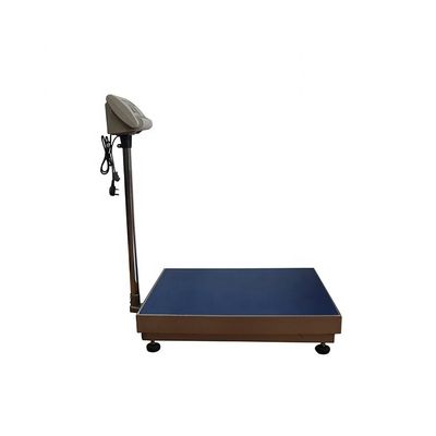 450*600mm Ατσάλινη Κεφαλαία Κλίμακα 100Kg-600Kg με σχεδιασμό και εξατομικευμένη υποστήριξη
